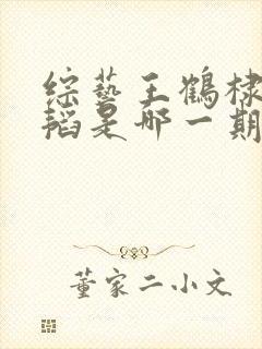 综艺王鹤棣黄子韬是哪一期