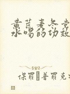 黄芪麦冬党参泡水喝的功效