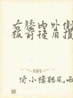 右膝内外侧半月板前后角损伤(ii级)