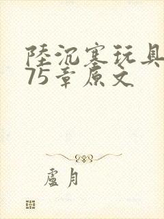 陆沉塞玩具高速75章原文