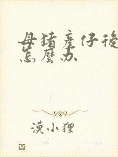 母猪产仔后没奶怎么办