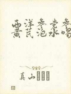 西洋参党参麦冬黄芪泡水喝功效
