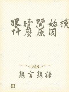 眼睛开始模糊是什么原因