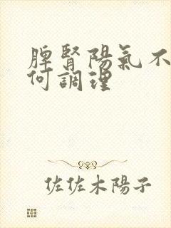 脾肾阳气不足如何调理