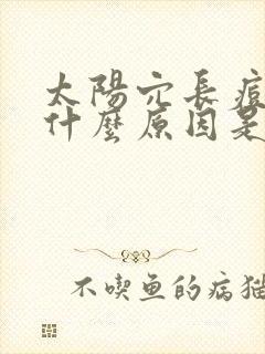 太阳穴长痘痘是什么原因是什么
