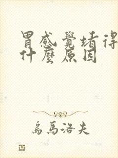 胃感觉堵得慌是什么原因