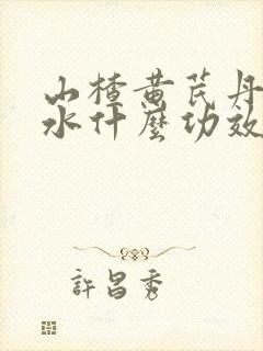 山楂黄芪丹参泡水什么功效