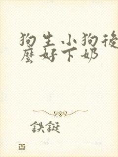 狗生小狗后吃什么好下奶封面
