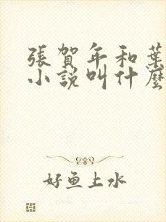 张贺年和叶繁姿小说叫什么名字