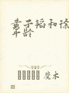 黄子韬和徐艺洋年龄封面