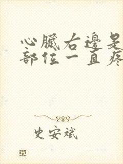 心脏右边是什么部位一直疼