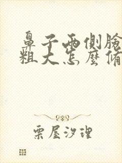 鼻子两侧脸毛孔粗大怎么修复封面