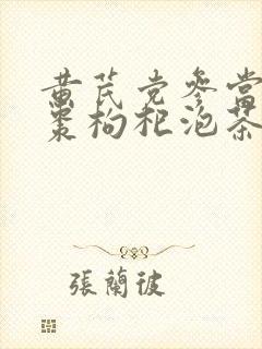 黄芪党参当归红枣枸杞泡茶的功效