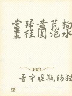 当归黄芪枸杞红枣桂圆泡水喝的功效与作用