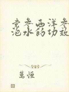党参西洋参麦冬泡水的功效