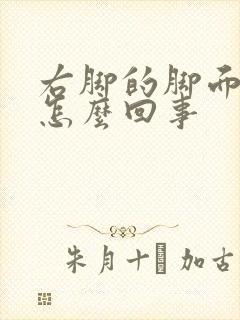 右脚的脚面疼是怎么回事封面