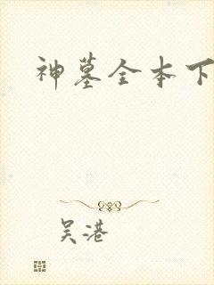 神墓全本下载封面