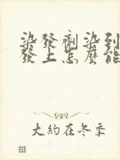 染发剂染到皮沙发上怎么能弄掉