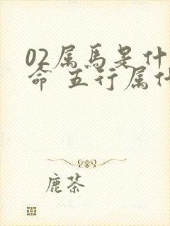 02属马是什么命 五行属什么