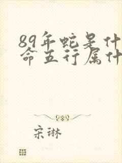 89年蛇是什么命五行属什么