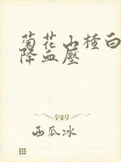 菊花山楂白芍饮降血压封面
