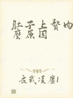 肚子上赘肉多什么原因