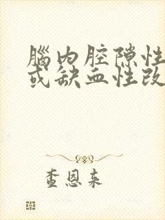 脑内腔隙性梗塞或缺血性改变封面