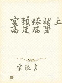 宫颈鳞状上皮 高度病变