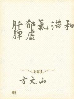 肝郁气滞和肝郁脾虚封面