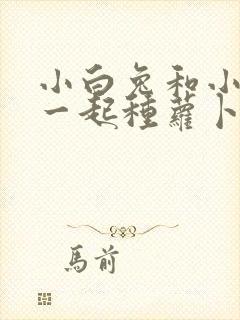 小白兔和小灰兔一起种萝卜