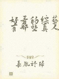 好看的综艺节目有哪些真人秀