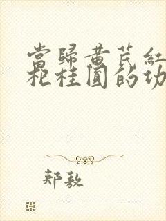当归黄芪红枣枸杞桂圆的功效与作用