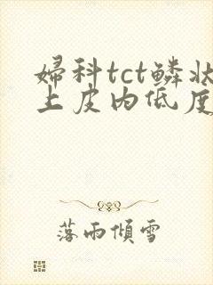 妇科tct鳞状上皮内低度病变是什么意思