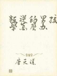 叛逆的男孩子厌学怎么办