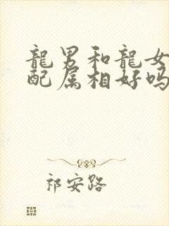 龙男和龙女的婚配属相好吗