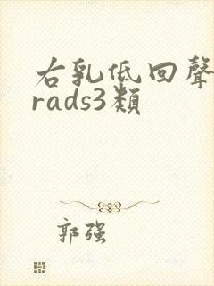 右乳低回声birads3类封面