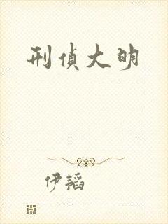 刑侦大明