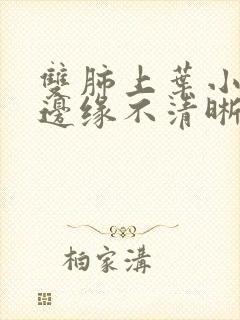 双肺上叶小结节边缘不清晰