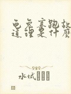 龟兔赛跑故事的道理是什么