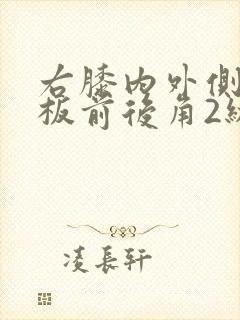 右膝内外侧半月板前后角2级损伤封面