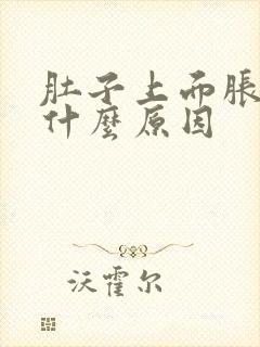 肚子上面胀气是什么原因