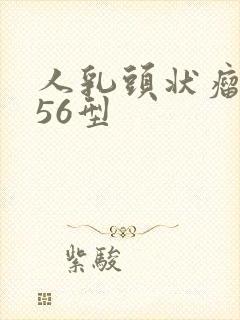人乳头状瘤病毒56型