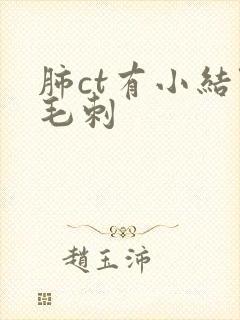 肺ct有小结节毛刺