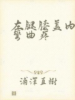 左腿膝盖内侧筋弯曲疼