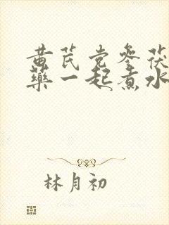 黄芪党参茯苓山药一起煮水功效