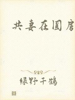 共妻在圆房3p封面