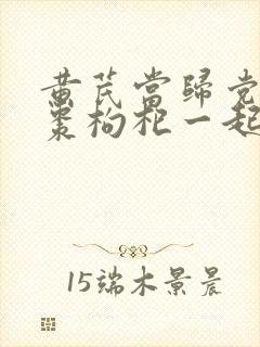 黄芪当归党参红枣枸杞一起喝有什么功效