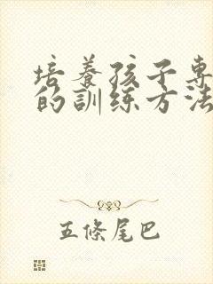 培养孩子专注力的训练方法培训班