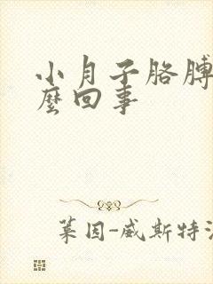 小月子胳膊疼怎么回事