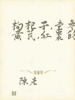 枸杞子,党参,黄芪,红枣的功效与作用